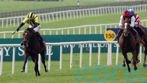 Eldar Eldarov set to bypass Champions Day option