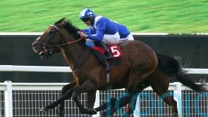 Burrows points to quick conditions after Hukum’s Arc eclipse