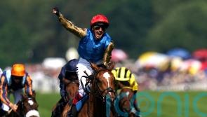 Minor setback could scupper Ascot for Courage Mon Ami