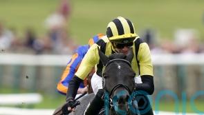 Dewhurst ruled out for Vandeek, with sprinting campaign next season