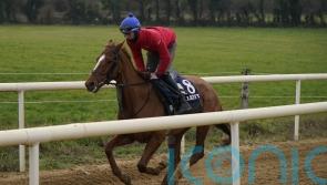 High-class hurdler Pied Piper firmly on Cesarewitch trail