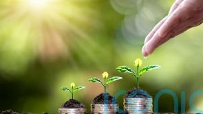 Third of greenwashing companies also linked to social washing, new data shows