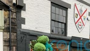 ‘Lovely’ crochet tribute to Sycamore Gap tree appears in nearby high street