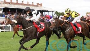 Significantly team favouring York run