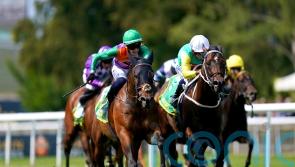 ‘Absolutely brilliant’ Quinault heading for Ascot Challenge