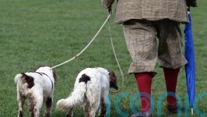 Gamekeepers treated like ‘pawns in done deals’, association warns