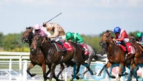 Levey: Heredia deserves to take Sun Chariot chance