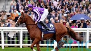 Classic-placed Wordsworth off the mark for Pipe over hurdles