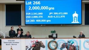 Coolmore land 2,000,000 guineas Frankel colt at Tattersalls