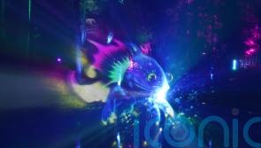 Tens of thousands of visitors expected at expanded sound and light show