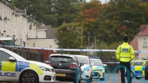 Man bailed after fatal XL bully attack