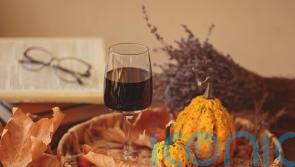 6 feel-good red wines to toast the switch in seasons