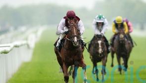 Zoulu Chief primed to blaze a trail at Newmarket again