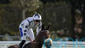 Al Qareem shows guts and class in Cumberland Lodge victory
