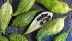 Alternative veg to grow for next season