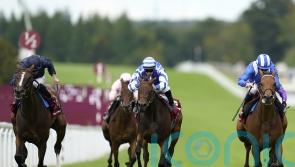 No Breeders’ Cup challenge for Blue Rose Cen