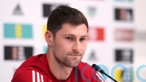 Captain Ben Davies hopes to bring a bit of Tottenham to Wales camp