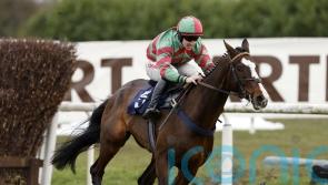 Old Roan looks to be on the cards for Tommy’s Oscar