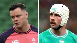 James Ryan and Mack Hansen injury doubts for Ireland against New Zealand