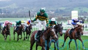 A Dream To Share all set for jumping bow at Punchestown
