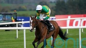 A Dream To Share ruled out of eagerly-awaited hurdling bow
