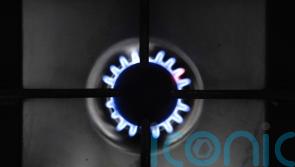 UK gas prices surge as Finland says pipeline leak caused by ‘external activity’