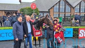 Minella Indo impresses on Punchestown return