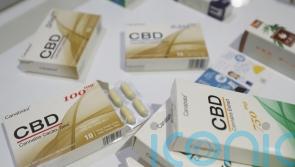 Food watchdog cuts recommended maximum daily amount of cannabidiol