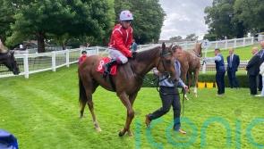 Shuwari takes Group One test for Sangster
