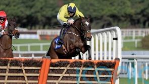 Tendon injury sidelines Good Land for the season
