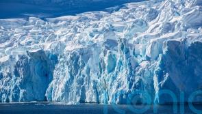 More than 40% of Antarctica’s ice shelves have shrunk since 1997, study finds
