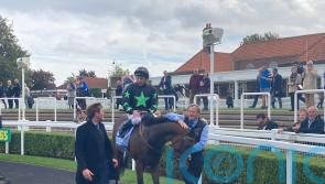 Inquisitively has all the answers in Cornwallis