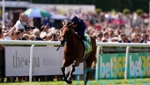 Troy aiming to conquer Dewhurst rivals