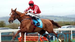 Pied Piper camp delighted to have Moore on board