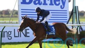 City Of Troy seals star status with Dewhurst success