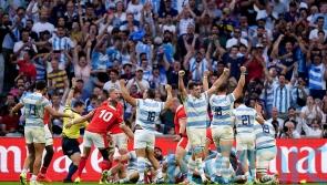 Emiliano Boffelli stars as Argentina send Wales home from World Cup