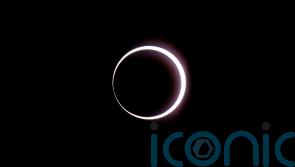 ‘Ring of fire’ solar eclipse begins its path across the Americas