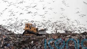 Scottish household recycling rate stagnates, figures show