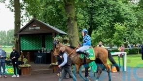 Ellison to consider travel plans for Tashkhan