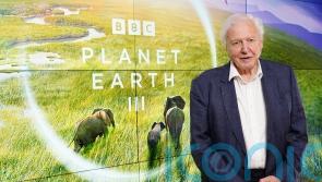 Sir David Attenborough says children need more opportunities to observe nature