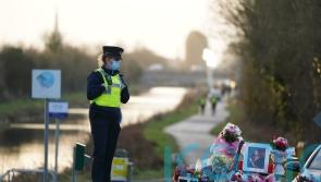 Person in hedge ‘kicking hard in cry for help’, Ashling Murphy murder trial told