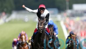Golden Horn stands out for Cochrane as a special Dettori memory