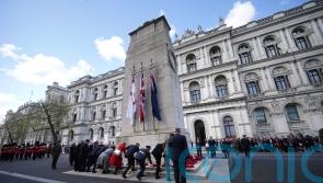Security minister says pro-Palestine stage near Cenotaph was ‘disgraceful’