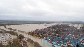 Chicken manure is polluting River Wye, court hears