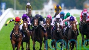 Poptronic proves a smash hit with brave win