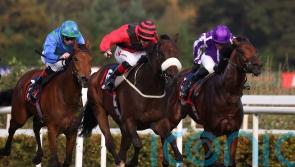 Mutasarref keeps up the good work for Lyons in Leopardstown feature