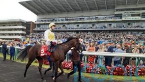 Menuisier back in Group One business with Sunway