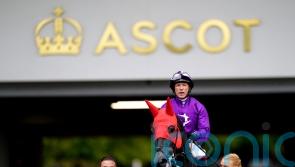 King Of Steel team taking watching brief on Santa Anita challenge