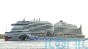 Search for cruise ship crew member reported to have gone overboard