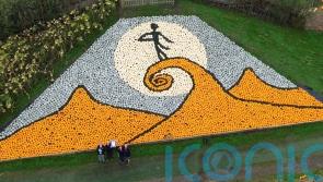 Spook-tacular Tim Burton-inspired pumpkin and squash mosaic sets world record